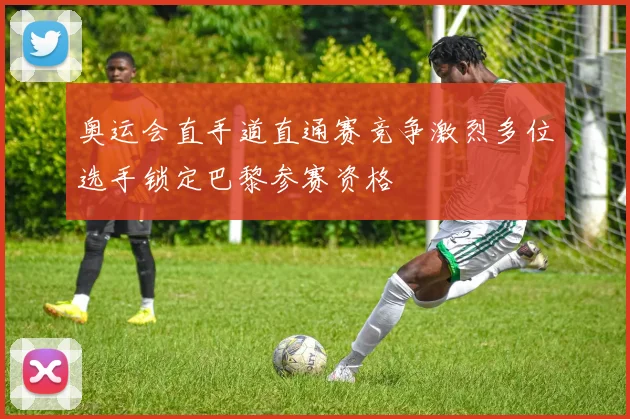奥运会直手道直通赛竞争激烈多位选手锁定巴黎参赛资格