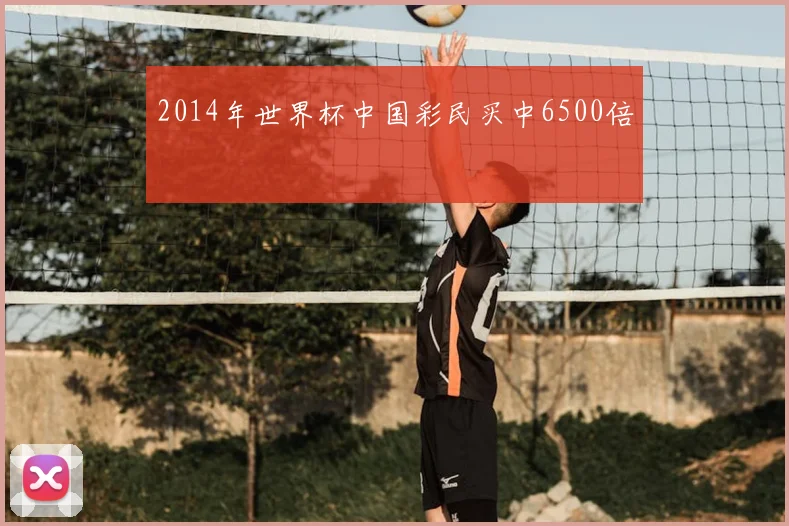 2014年世界杯中国彩民买中6500倍