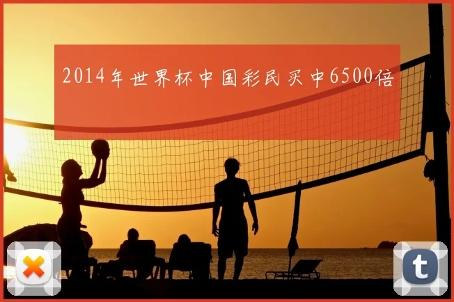 2014年世界杯中国彩民买中6500倍