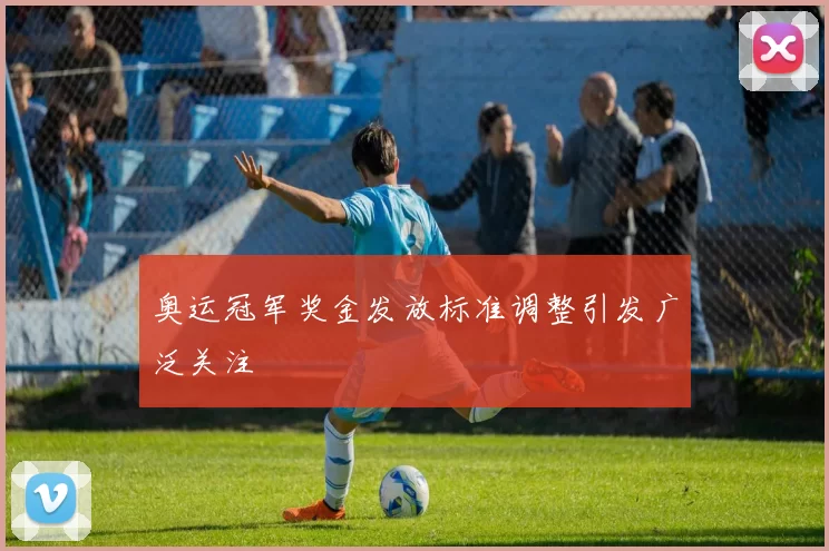 奥运冠军奖金发放标准调整引发广泛关注