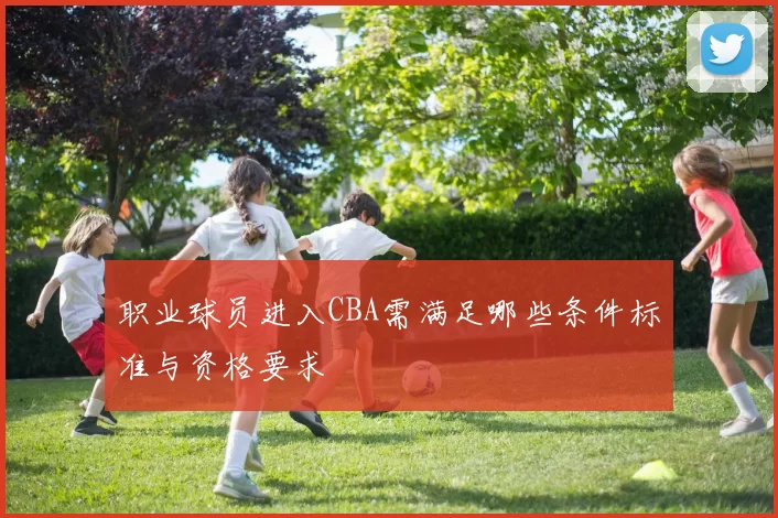 职业球员进入CBA需满足哪些条件标准与资格要求