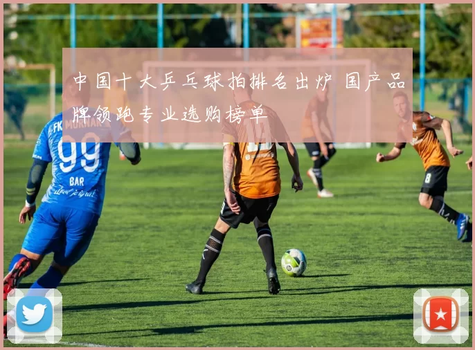 中国十大乒乓球拍排名出炉 国产品牌领跑专业选购榜单