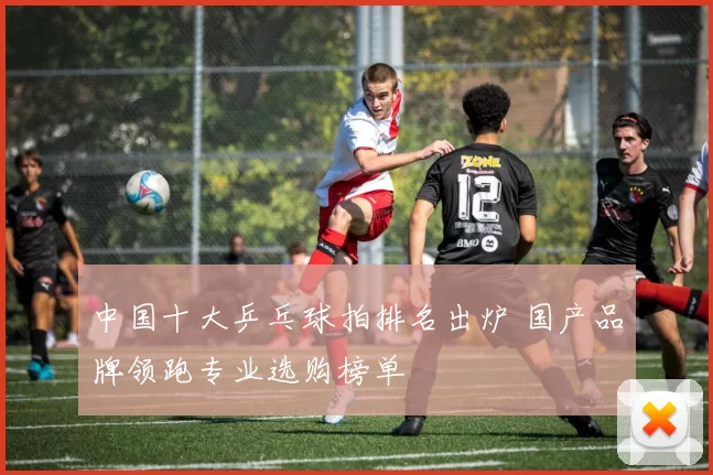 中国十大乒乓球拍排名出炉 国产品牌领跑专业选购榜单