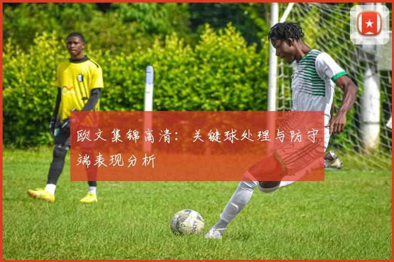 欧文集锦高清：关键球处理与防守端表现分析