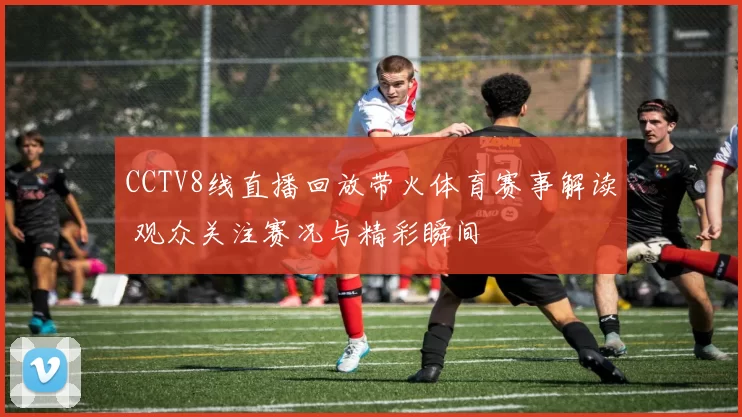 CCTV8线直播回放带火体育赛事解读 观众关注赛况与精彩瞬间