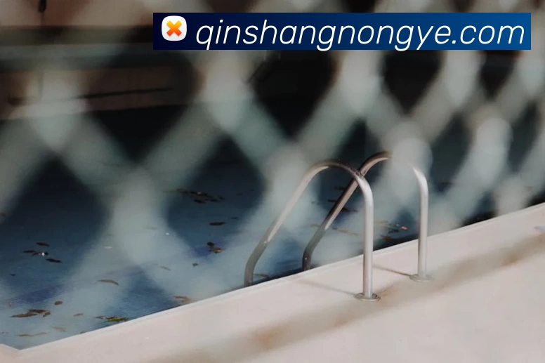 星空手机官方网站品牌故事