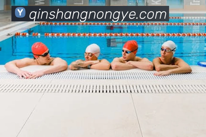 星空手机官方网站服务体系